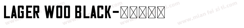 Lager W00 Black字体转换